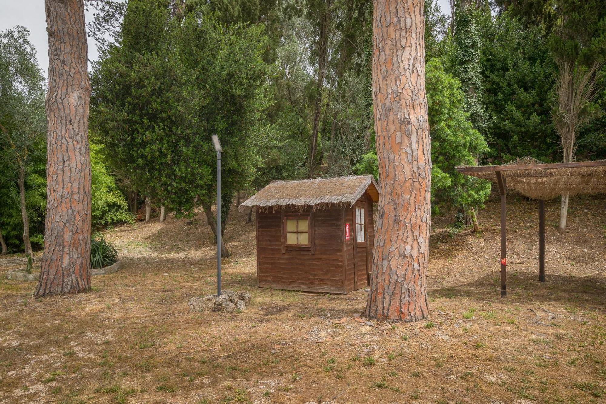 Villa I Tigli Campiglia Marittima Exterior foto