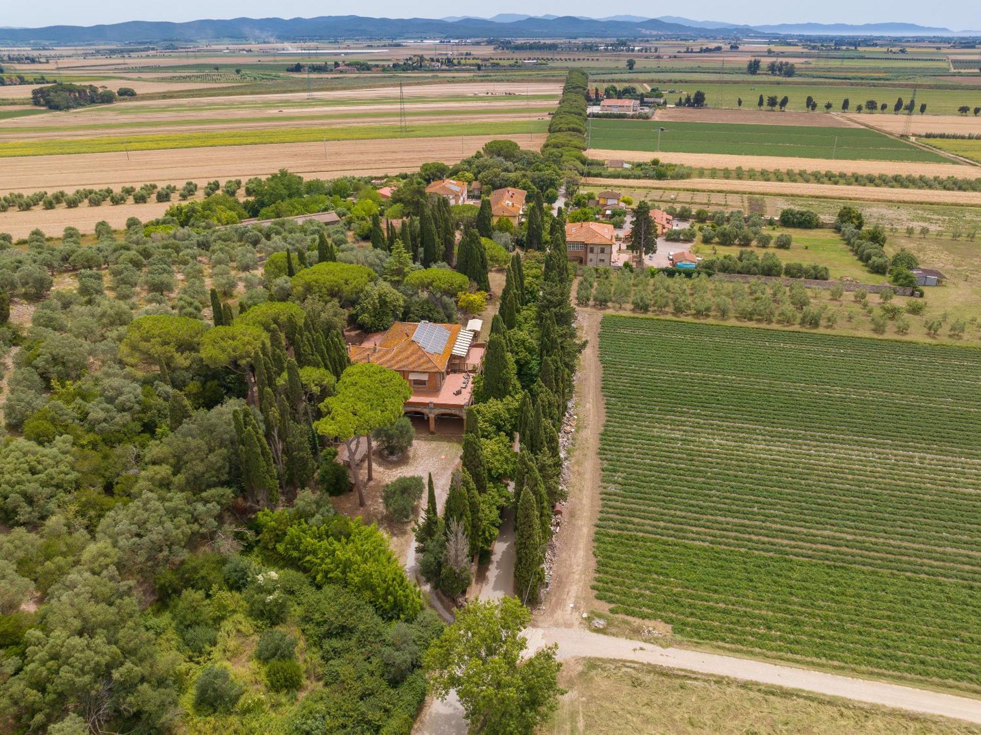 Villa I Tigli Campiglia Marittima Exterior foto